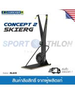 Concept2 SkiErg